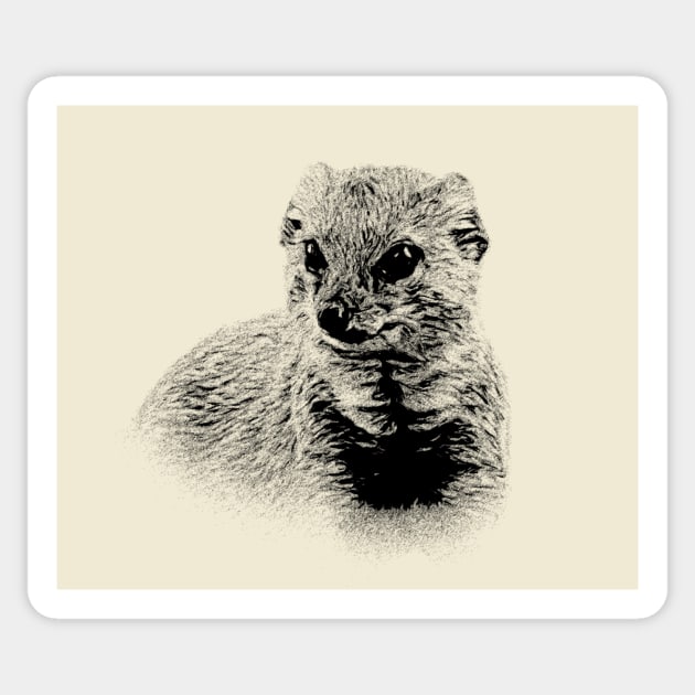 Mongoose Sticker by Guardi